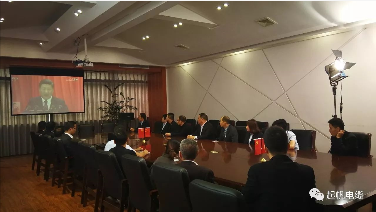上海起帆电缆股东和党员一起观看党的十九大开幕式